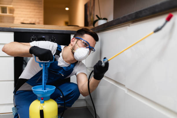 Best Bed Bug Extermination  in Brigham City, UT