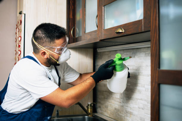 Best Pest Inspection Near Me  in Brigham City, UT