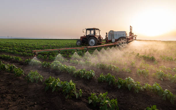 Best Pest Prevention Services  in Brigham City, UT