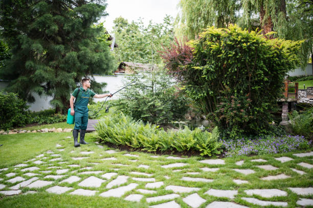 Professional Pest Control in Brigham City, UT