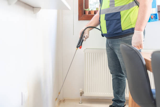 Best Bed Bug Extermination  in Brigham City, UT