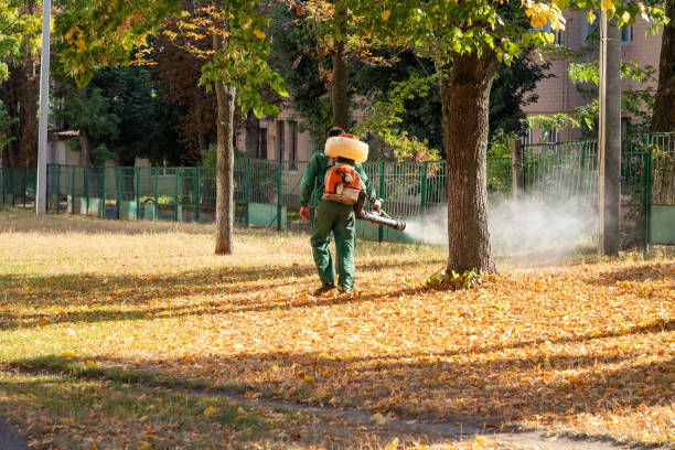 Best Pest Removal Services  in Brigham City, UT