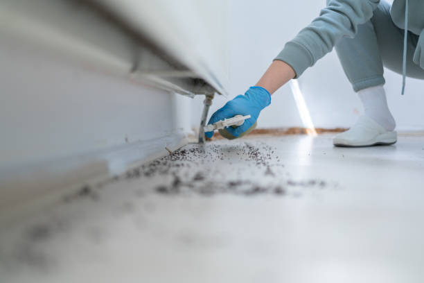 Best Wildlife Control Services  in Brigham City, UT