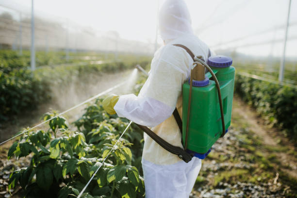 Best Pest Control Treatment  in Brigham City, UT